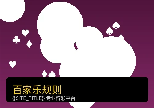 百家乐游戏规则说明